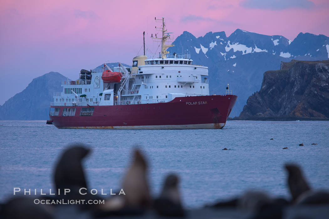 M/V Polar Star, an icebreaker expedition ship, lies at anchor in Right Whale Bay, South Georgia Island.  Antarctic fur seals on the beach, and the rugged South Georgia Island mountains in the distance.  Sunset, dusk, Arctocephalus gazella