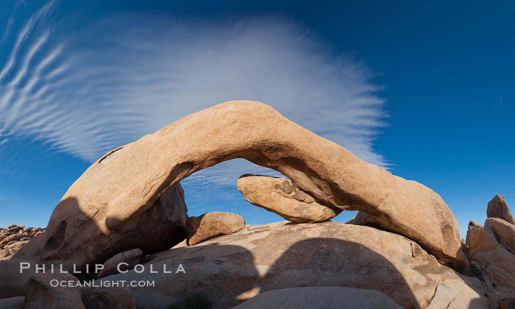 Arch Rock in Joshua Tree National Park.  A natural stone arch in the White Tank area of Joshua Tree N.P. California, USA, natural history stock photograph, photo id 26722