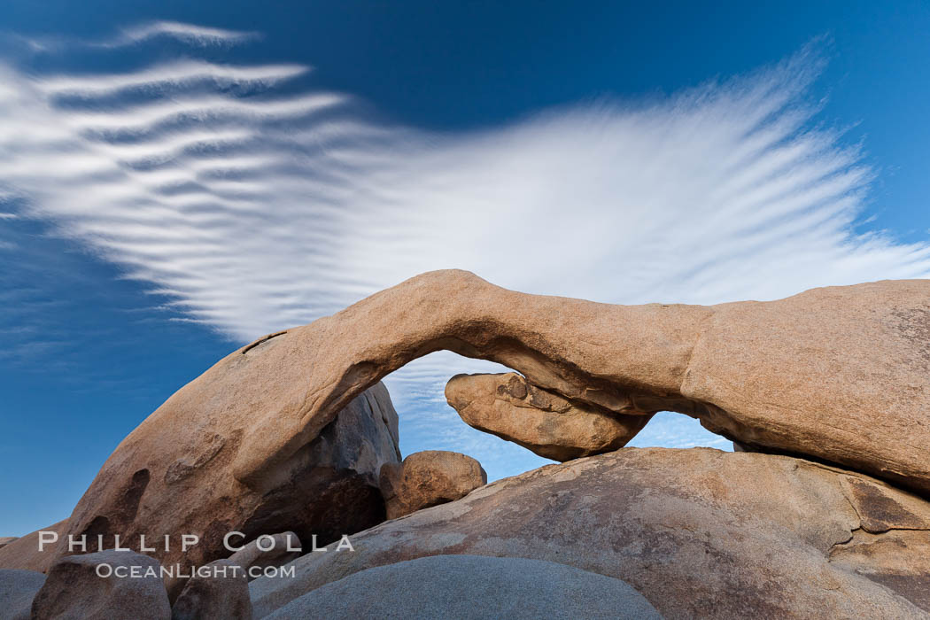 Arch Rock in Joshua Tree National Park.  A natural stone arch in the White Tank area of Joshua Tree N.P. California, USA, natural history stock photograph, photo id 26748