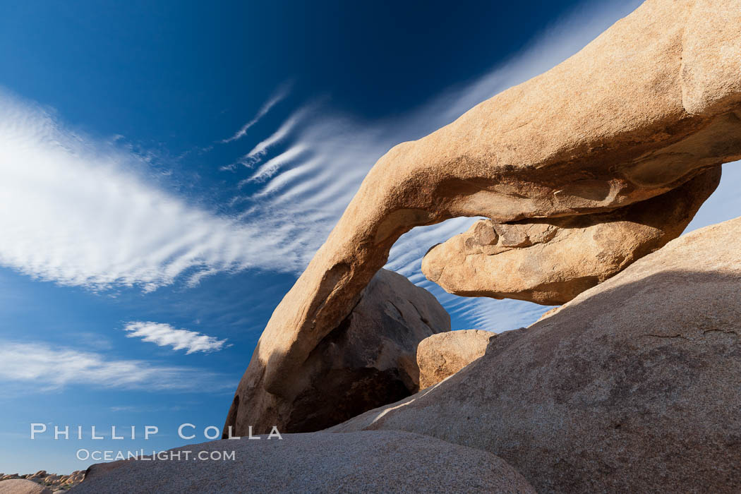 Arch Rock in Joshua Tree National Park.  A natural stone arch in the White Tank area of Joshua Tree N.P. California, USA, natural history stock photograph, photo id 26765