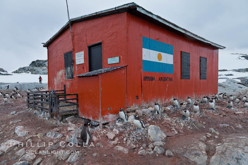 Argentine research hut on Petermann Island, Antarctica. Peterman Island, Antarctic Peninsula, Pygoscelis papua, natural history stock photograph, photo id 25605