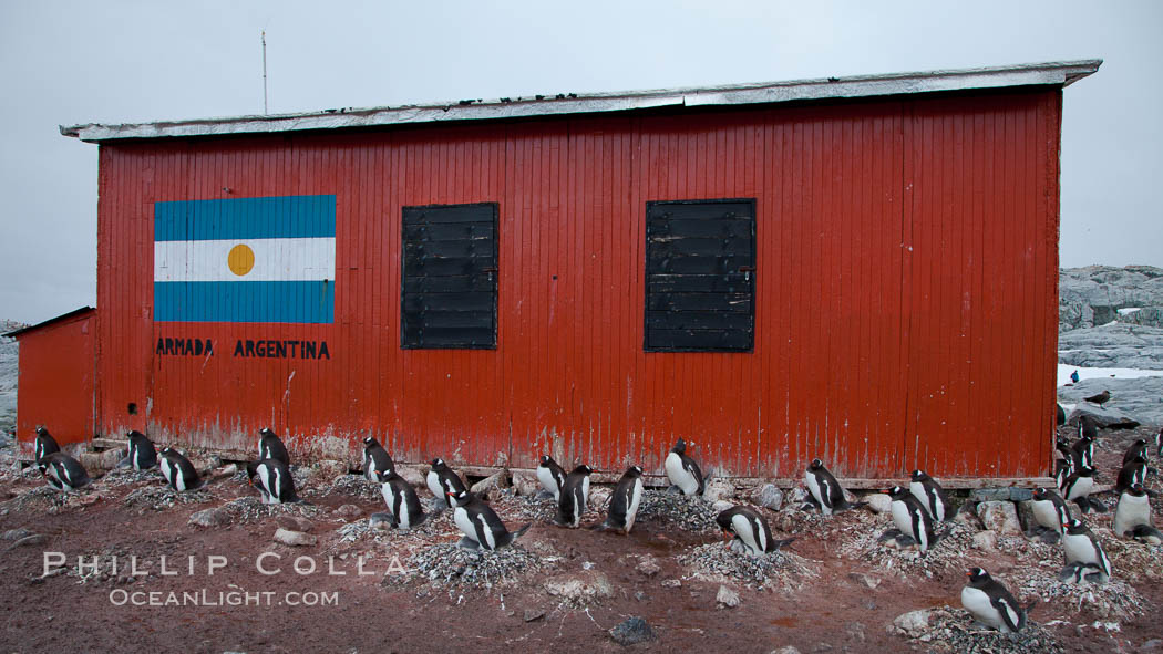 Argentine research hut on Petermann Island, Antarctica. Peterman Island, Antarctic Peninsula, Pygoscelis papua, natural history stock photograph, photo id 25633