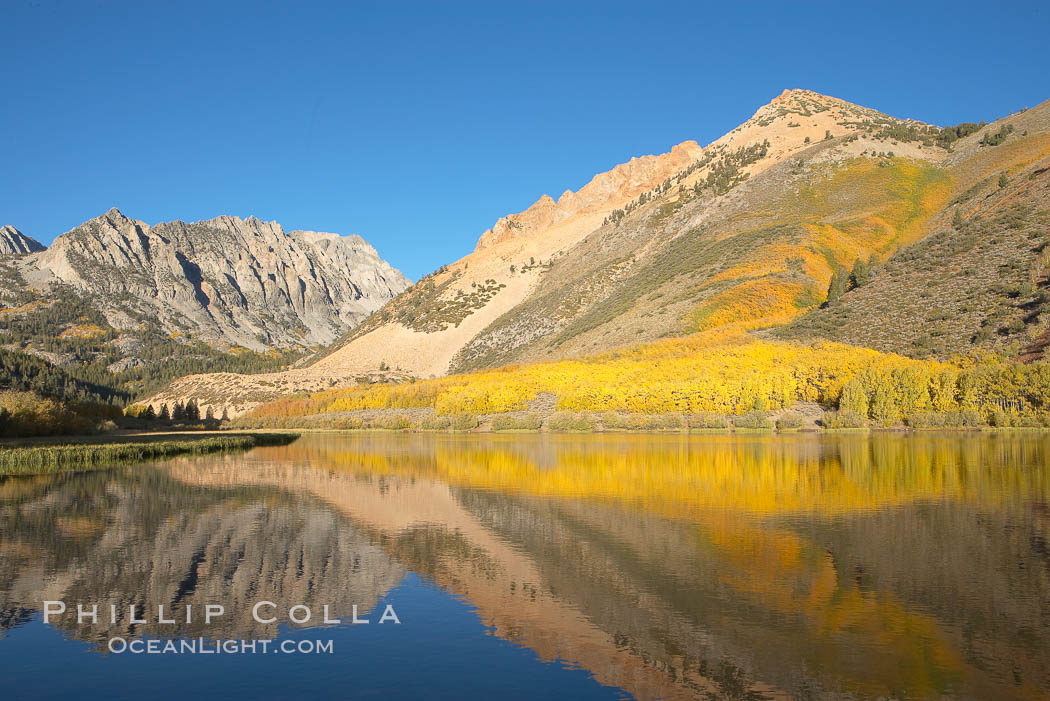 Aspens changing into fall colors, yellow and orange, are reflected in North Lake in October, Bishop Creek Canyon, Eastern Sierra. Bishop Creek Canyon, Sierra Nevada Mountains, California, USA, Populus tremuloides, natural history stock photograph, photo id 17593