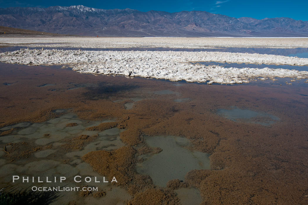 Badwater, California.  Badwater, at 282 feet below sea level, is the lowest point in North America.  9000 square miles of watershed drain into the Badwater basin, to dry and form huge white salt flats. Death Valley National Park, USA, natural history stock photograph, photo id 15595