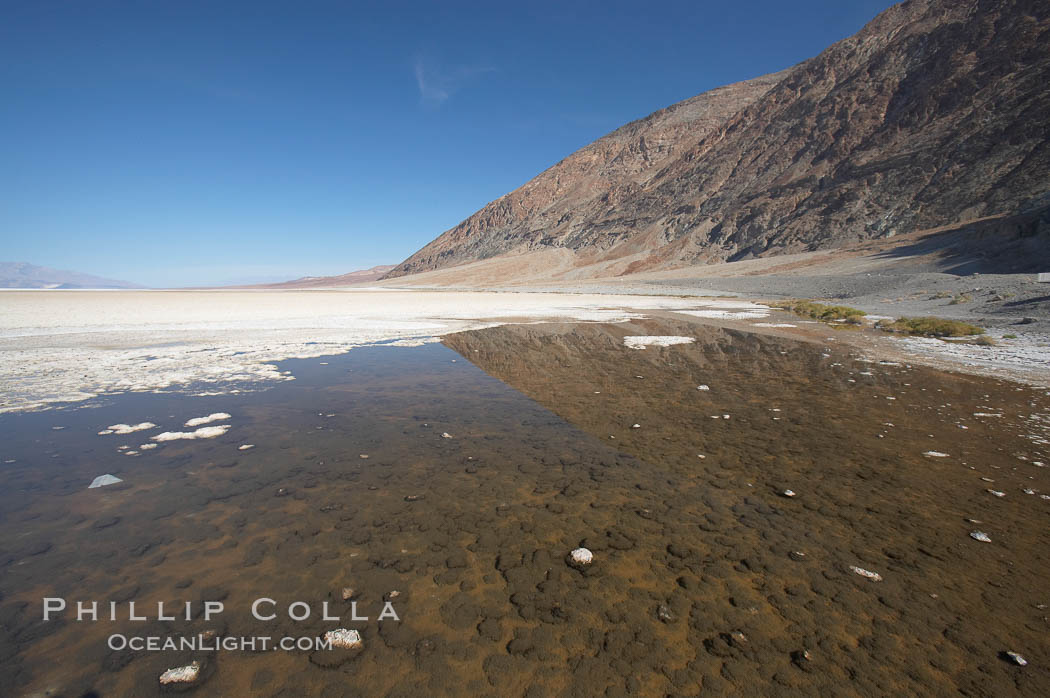 Badwater, California.  Badwater, at 282 feet below sea level, is the lowest point in North America.  9000 square miles of watershed drain into the Badwater basin, to dry and form huge white salt flats. Death Valley National Park, USA, natural history stock photograph, photo id 15623