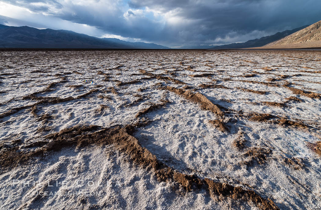 Erosion in the salt patterns of Badwater Playa, Death Valley National Park. California, USA, natural history stock photograph, photo id 30474