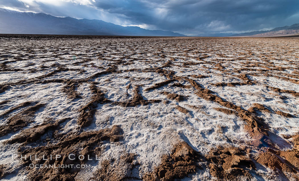 Erosion in the salt patterns of Badwater Playa, Death Valley National Park. California, USA, natural history stock photograph, photo id 30473