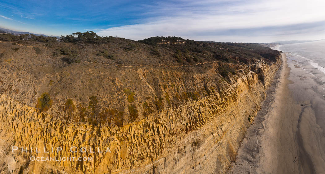 Torrey Pines balloon aerial survey photo.  Torrey Pines seacliffs, rising up to 300 feet above the ocean, stretch from Del Mar to La Jolla. On the mesa atop the bluffs are found Torrey pine trees, one of the rare species of pines in the world. Peregine falcons nest at the edge of the cliffs. This photo was made as part of an experimental balloon aerial photographic survey flight over Torrey Pines State Reserve, by permission of Torrey Pines State Reserve. San Diego, California, USA, natural history stock photograph, photo id 27282