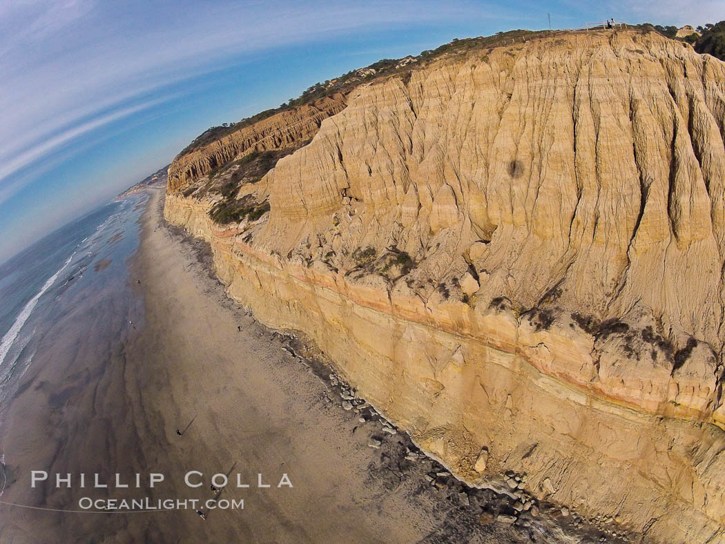 Torrey Pines balloon aerial survey photo.  Torrey Pines seacliffs, rising up to 300 feet above the ocean, stretch from Del Mar to La Jolla. On the mesa atop the bluffs are found Torrey pine trees, one of the rare species of pines in the world. Peregine falcons nest at the edge of the cliffs. This photo was made as part of an experimental balloon aerial photographic survey flight over Torrey Pines State Reserve, by permission of Torrey Pines State Reserve. San Diego, California, USA, natural history stock photograph, photo id 27290