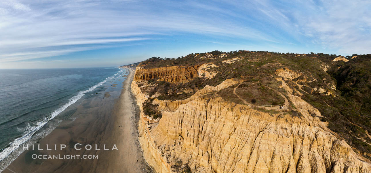 Torrey Pines balloon aerial survey photo.  Torrey Pines seacliffs, rising up to 300 feet above the ocean, stretch from Del Mar to La Jolla. On the mesa atop the bluffs are found Torrey pine trees, one of the rare species of pines in the world. Peregine falcons nest at the edge of the cliffs. This photo was made as part of an experimental balloon aerial photographic survey flight over Torrey Pines State Reserve, by permission of Torrey Pines State Reserve. San Diego, California, USA, natural history stock photograph, photo id 27272