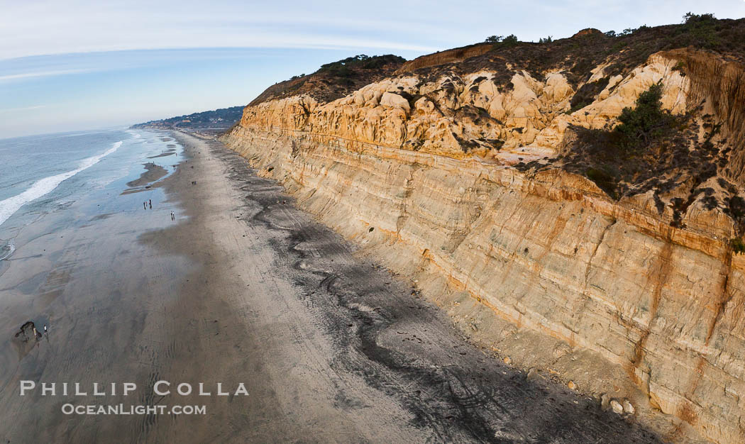 Torrey Pines balloon aerial survey photo.  Torrey Pines seacliffs, rising up to 300 feet above the ocean, stretch from Del Mar to La Jolla. On the mesa atop the bluffs are found Torrey pine trees, one of the rare species of pines in the world. Peregrine falcons nest at the edge of the cliffs. This photo was made as part of an experimental balloon aerial photographic survey flight over Torrey Pines State Reserve, by permission of Torrey Pines State Reserve., natural history stock photograph, photo id 27284