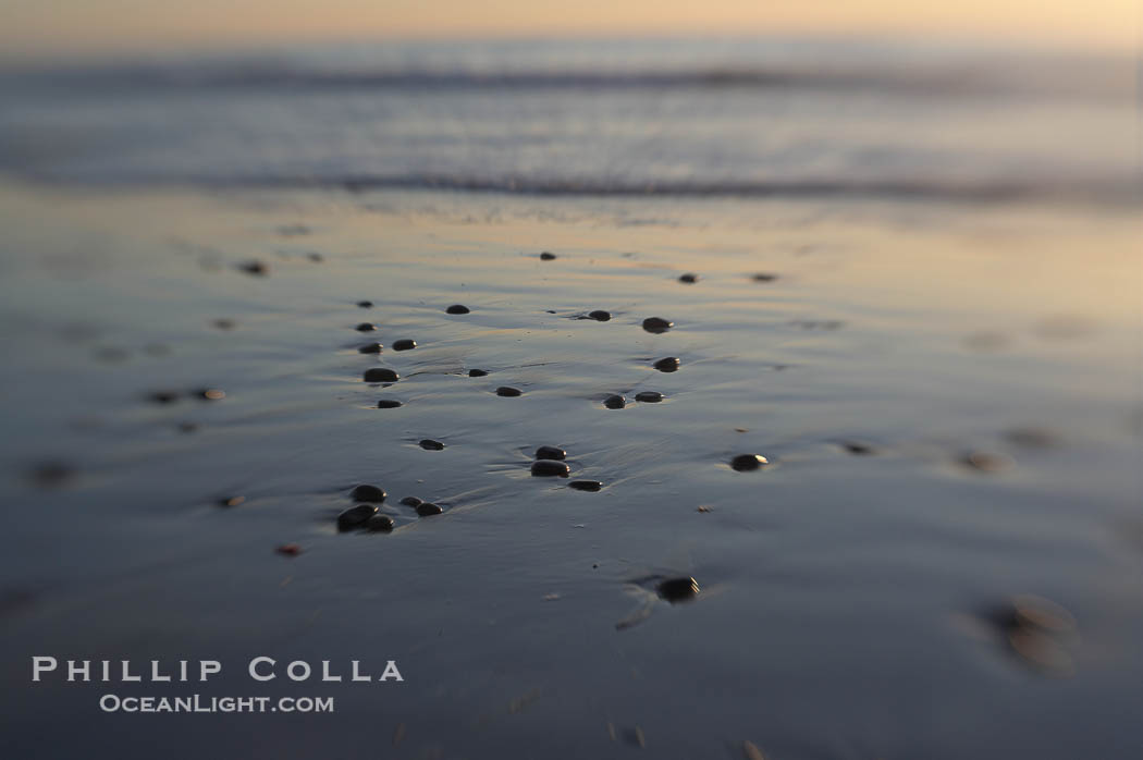 Beach stones and wet sand, reflections of sunset., natural history stock photograph, photo id 17985
