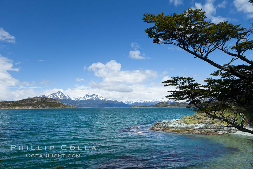 Beagle Channel from Tierra del Fuego National Park, Argentina. Ushuaia, natural history stock photograph, photo id 23608