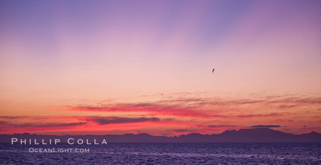 Beautiful Sea of Cortez sunset view, near La Paz, Baja California, Mexico., natural history stock photograph, photo id 27583