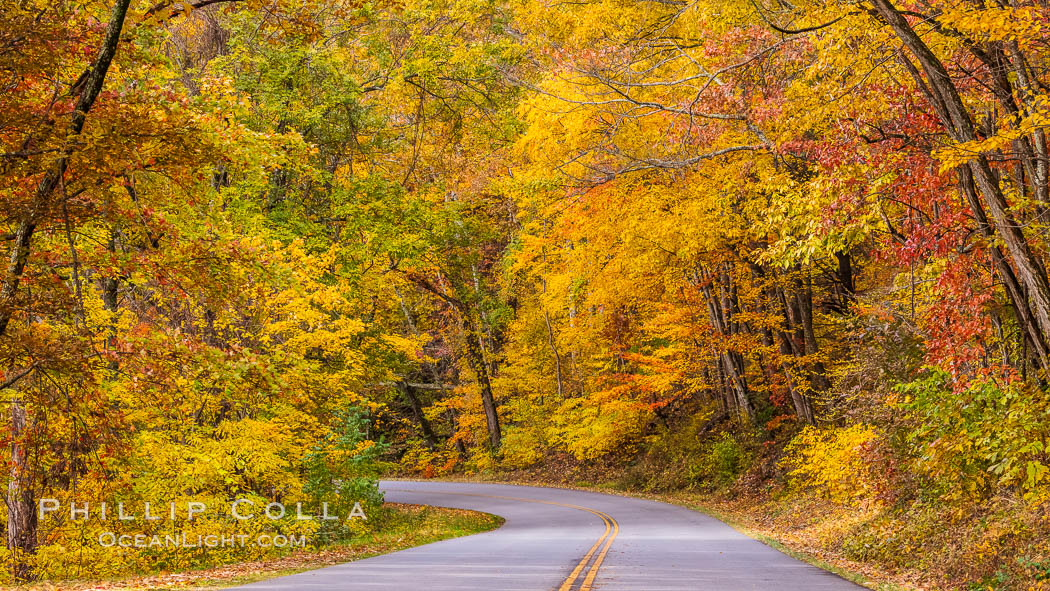 Blue Ridge Parkway Fall Colors, Asheville, North Carolina. USA, natural history stock photograph, photo id 34638