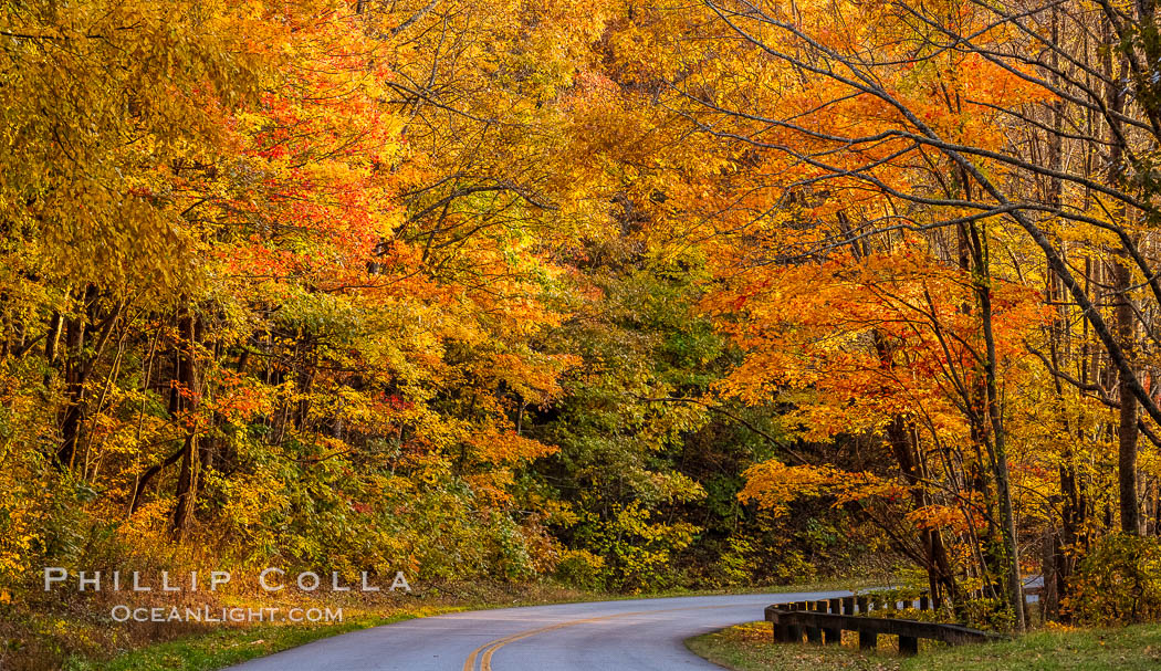 Blue Ridge Parkway Fall Colors, Asheville, North Carolina