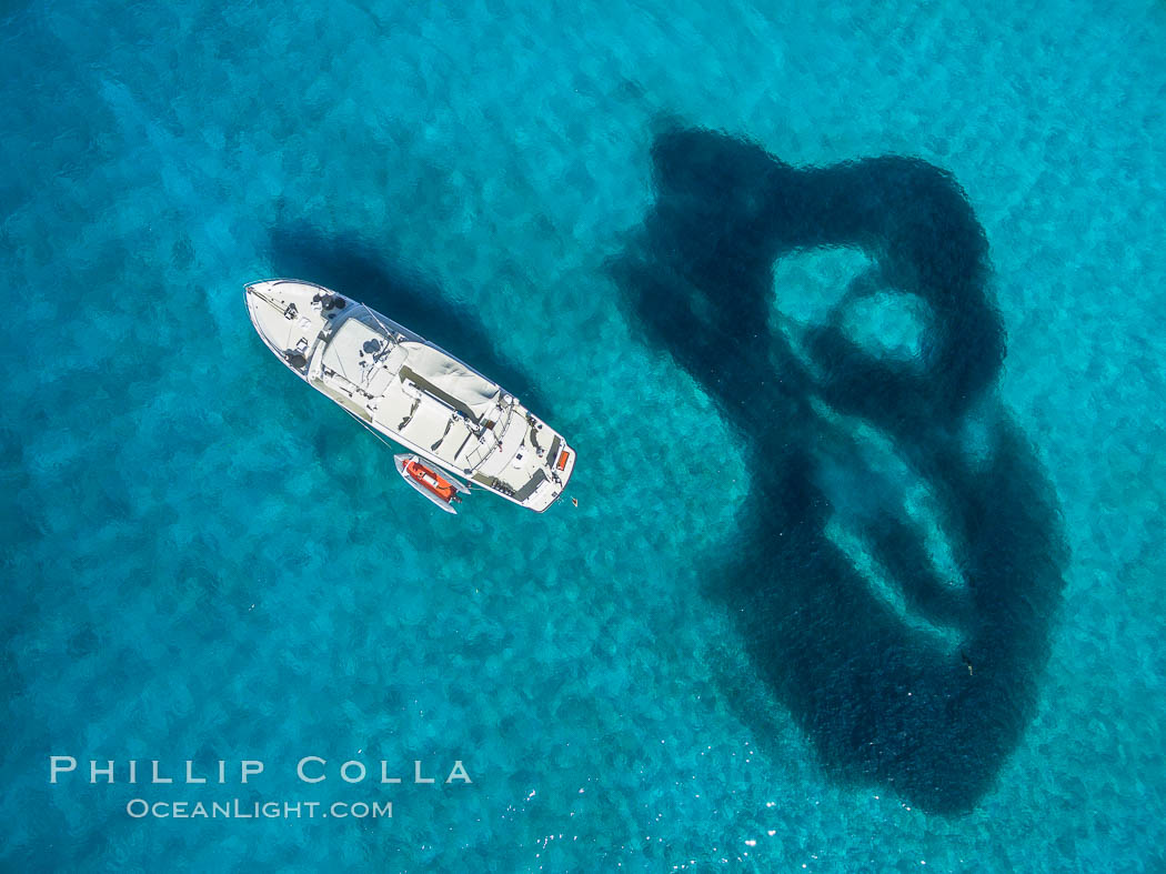 Boat Ambar and School of Fish, Ensenada el Embudo, Isla Partida, aerial photo