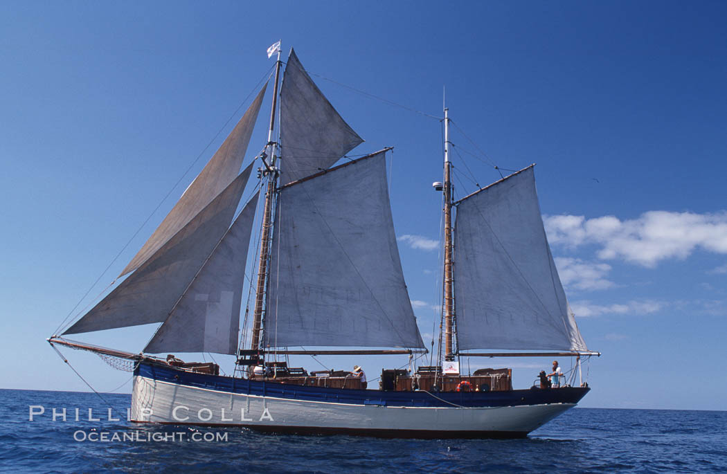 Boat Silvery Light near Sao Miguel Island. Azores, Portugal, natural history stock photograph, photo id 05487