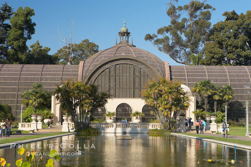 The Botanical Building in Balboa Park, San Diego.  The Botanical Building, at 250 feet long by 75 feet wide and 60 feet tall, was the largest wood lath structure in the world when it was built in 1915 for the Panama-California Exposition. The Botanical Building, located on the Prado, west of the Museum of Art, contains about 2,100 permanent tropical plants along with changing seasonal flowers. The Lily Pond, just south of the Botanical Building, is an eloquent example of the use of reflecting pools to enhance architecture. The 193 by 43 foot pond and smaller companion pool were originally referred to as Las Lagunas de las Flores (The Lakes of the Flowers) and were designed as aquatic gardens. The pools contain exotic water lilies and lotus which bloom spring through fall.  Balboa Park, San Diego. USA, natural history stock photograph, photo id 14584