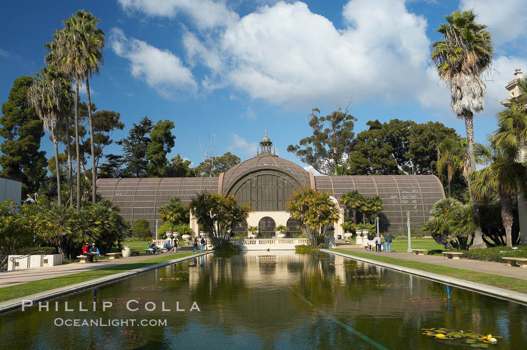 The Botanical Building in Balboa Park, San Diego.  The Botanical Building, at 250 feet long by 75 feet wide and 60 feet tall, was the largest wood lath structure in the world when it was built in 1915 for the Panama-California Exposition. The Botanical Building, located on the Prado, west of the Museum of Art, contains about 2,100 permanent tropical plants along with changing seasonal flowers. The Lily Pond, just south of the Botanical Building, is an eloquent example of the use of reflecting pools to enhance architecture. The 193 by 43 foot pond and smaller companion pool were originally referred to as Las Lagunas de las Flores (The Lakes of the Flowers) and were designed as aquatic gardens. The pools contain exotic water lilies and lotus which bloom spring through fall.  Balboa Park, San Diego. USA, natural history stock photograph, photo id 14577