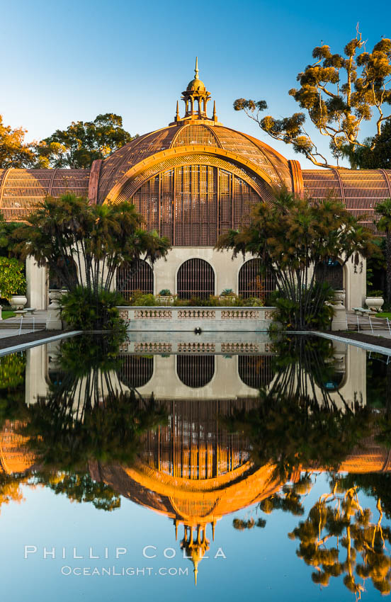 The Botanical Building in Balboa Park, San Diego. The Botanical Building, at 250 feet long by 75 feet wide and 60 feet tall, was the largest wood lath structure in the world when it was built in 1915 for the Panama-California Exposition. The Botanical Building, located on the Prado, west of the Museum of Art, contains about 2,100 permanent tropical plants along with changing seasonal flowers. The Lily Pond, just south of the Botanical Building, is an eloquent example of the use of reflecting pools to enhance architecture. The 193' by 43' foot pond and smaller companion pool were originally referred to as Las Lagunas de las Flores (The Lakes of the Flowers) and were designed as aquatic gardens. The pools contain exotic water lilies and lotus which bloom spring through fall. USA, natural history stock photograph, photo id 28822