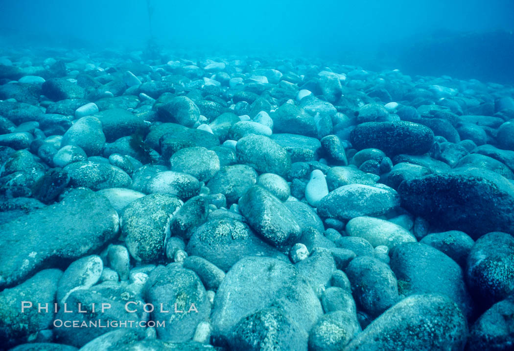 Boulders cover the ocean floor, worn round and smooth by centuries of wave action. Guadalupe Island (Isla Guadalupe), Baja California, Mexico, natural history stock photograph, photo id 18511