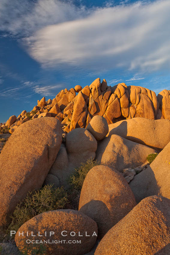 Boulders and sunset in Joshua Tree National Park.  The warm sunlight gently lights unusual boulder formations at Jumbo Rocks in Joshua Tree National Park, California. USA, natural history stock photograph, photo id 26737