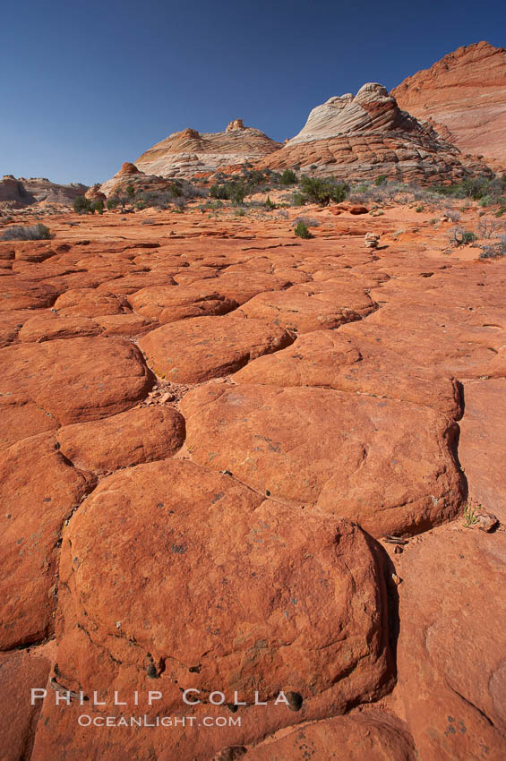 Geometric joints and cracks form in eroding sandstone, North Coyote Buttes, Paria Canyon-Vermilion Cliffs Wilderness, Arizona