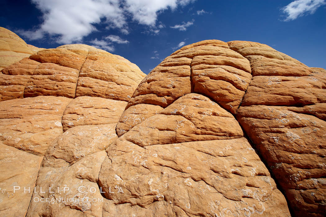 Brain rocks, curious sandstone formations in the North Coyote Buttes. Paria Canyon-Vermilion Cliffs Wilderness, Arizona, USA, natural history stock photograph, photo id 20634