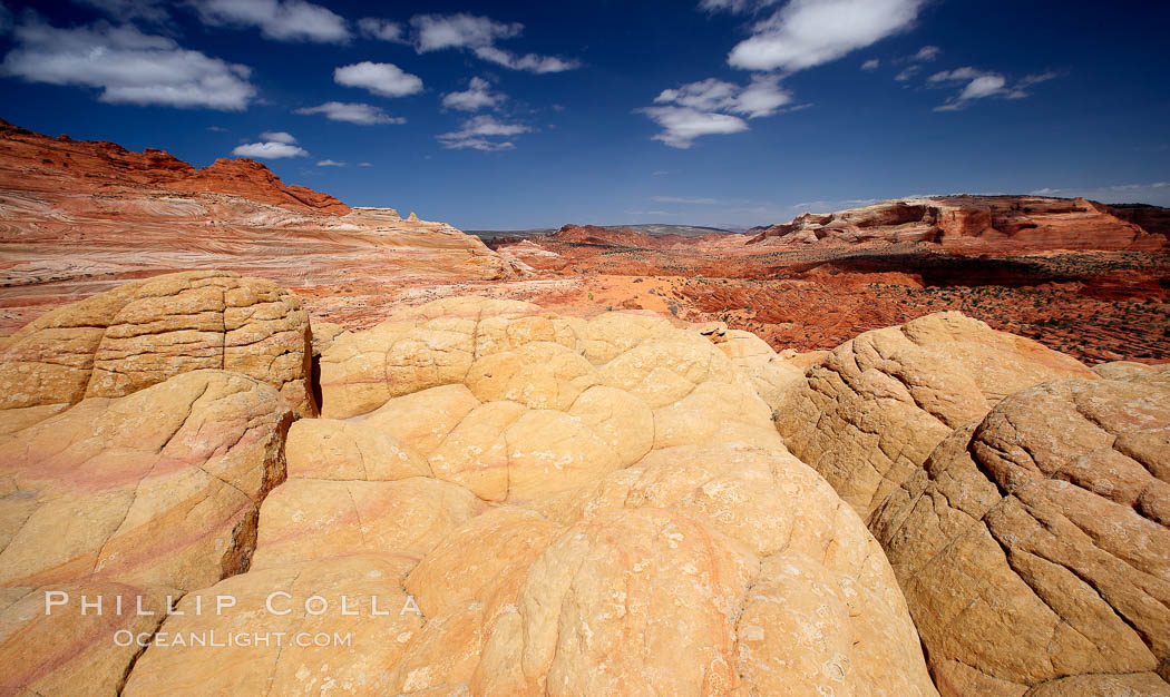 Brain rocks, curious sandstone formations in the North Coyote Buttes. Paria Canyon-Vermilion Cliffs Wilderness, Arizona, USA, natural history stock photograph, photo id 20635