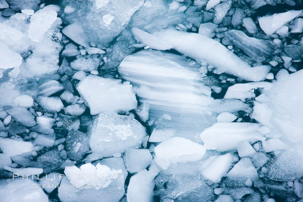 Brash ice floats on cold, dark Antarctic waters. Cierva Cove, Antarctic Peninsula, Antarctica, natural history stock photograph, photo id 25532