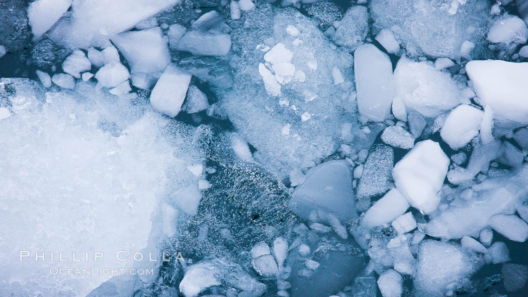 Brash ice floats on cold, dark Antarctic waters. Cierva Cove, Antarctic Peninsula, Antarctica, natural history stock photograph, photo id 25600