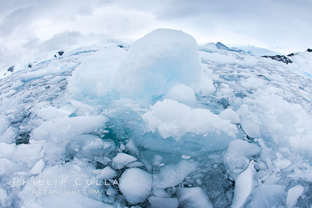 Brash ice and pack ice in Antarctica.  Brash ices fills the ocean waters of Cierva Cove on the Antarctic Peninsula.  The ice is a mix of sea ice that has floated near shore on the tide and chunks of ice that have fallen into the water from nearby land-bound glaciers., natural history stock photograph, photo id 25594