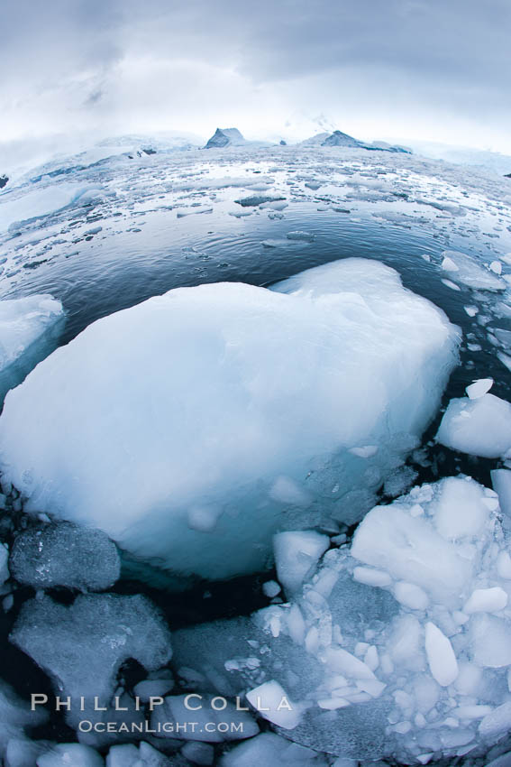 Brash ice and pack ice in Antarctica.  Brash ices fills the ocean waters of Cierva Cove on the Antarctic Peninsula.  The ice is a mix of sea ice that has floated near shore on the tide and chunks of ice that have fallen into the water from nearby land-bound glaciers., natural history stock photograph, photo id 25596