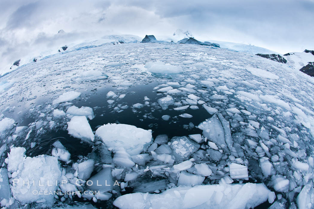 Brash ice and pack ice in Antarctica.  Brash ices fills the ocean waters of Cierva Cove on the Antarctic Peninsula.  The ice is a mix of sea ice that has floated near shore on the tide and chunks of ice that have fallen into the water from nearby land-bound glaciers., natural history stock photograph, photo id 25503