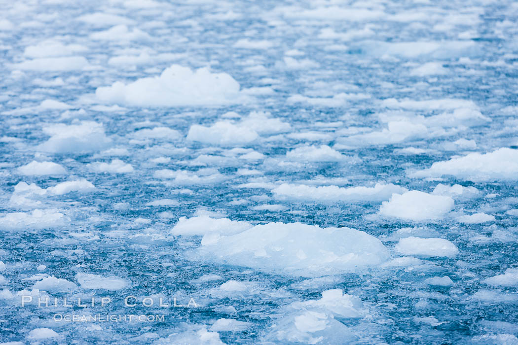 Brash ice and pack ice in Antarctica.  Brash ices fills the ocean waters of Cierva Cove on the Antarctic Peninsula.  The ice is a mix of sea ice that has floated near shore on the tide and chunks of ice that have fallen into the water from nearby land-bound glaciers., natural history stock photograph, photo id 25527