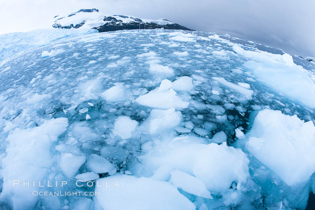 Brash ice and pack ice in Antarctica.  Brash ices fills the ocean waters of Cierva Cove on the Antarctic Peninsula.  The ice is a mix of sea ice that has floated near shore on the tide and chunks of ice that have fallen into the water from nearby land-bound glaciers., natural history stock photograph, photo id 25589