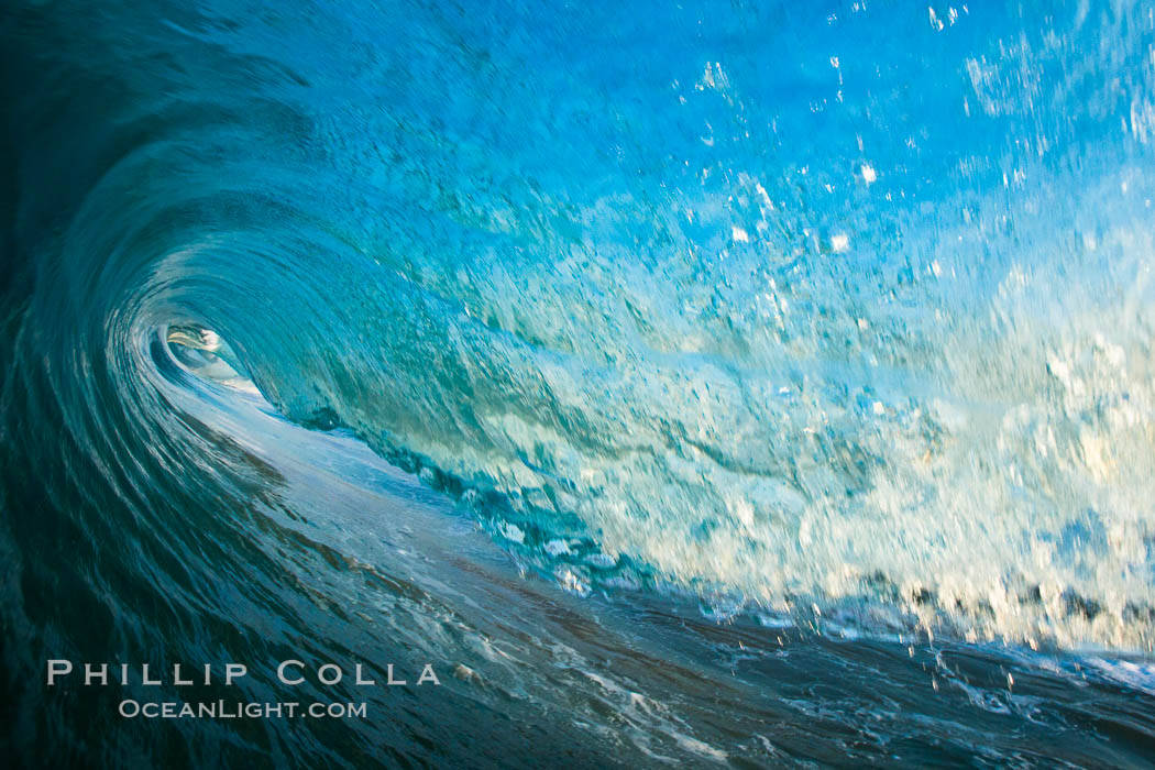 Breaking wave, morning, barrel shaped surf, California. The Wedge, Newport Beach, USA, natural history stock photograph, photo id 27982