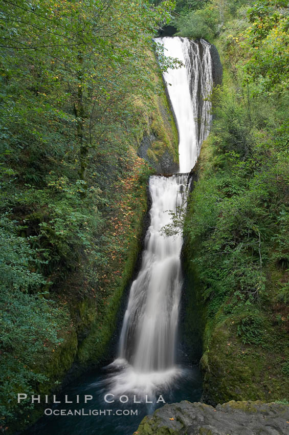 Bridal Veil Falls, a 140 foot fall in the Columbia River Gorge, is not to be confused with the more famous Bridalveil Falls in Yosemite National Park. Columbia River Gorge National Scenic Area, Oregon, USA, natural history stock photograph, photo id 19331
