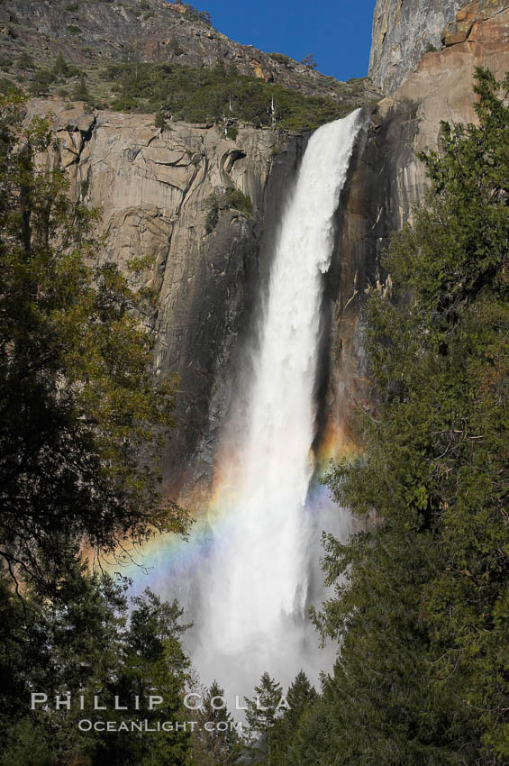 Bridalveil Falls with a rainbow forming in its spray, dropping 620 into Yosemite Valley, displaying peak water flow in spring months from deep snowpack and warm weather melt.  Yosemite Valley. Yosemite National Park, California, USA, natural history stock photograph, photo id 16166