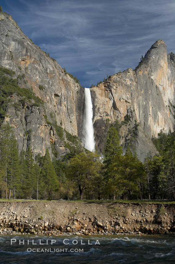 Bridalveil Falls drops 620 through a hanging valley, shown here at peak water flow in spring months from deep snowpack and warm weather melt.  Yosemite Valley. Yosemite National Park, California, USA, natural history stock photograph, photo id 16165
