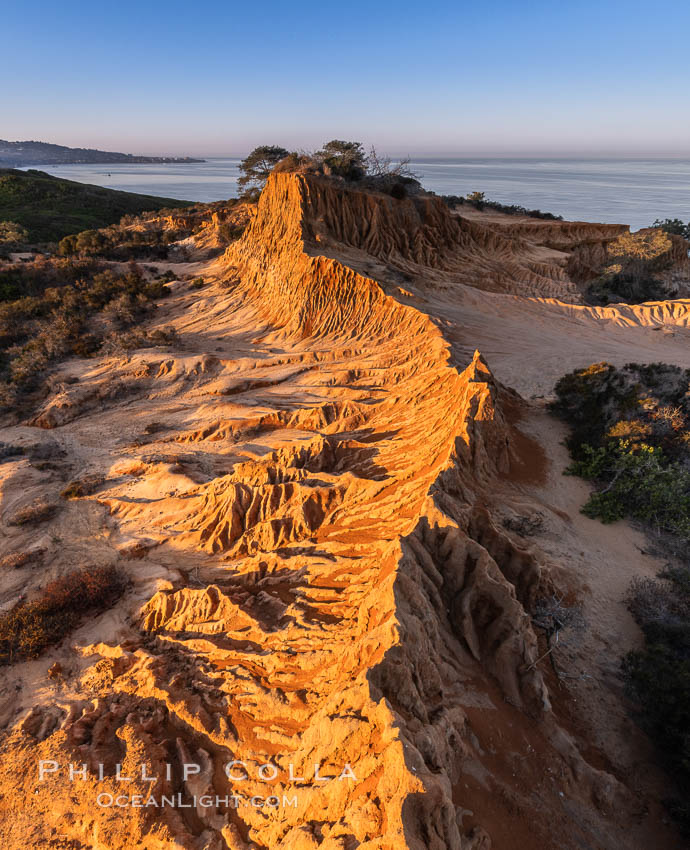 Sunrise over Broken Hill, overlooking La Jolla and the Pacific Ocean, Torrey Pines State Reserve. San Diego, California, USA, natural history stock photograph, photo id 35844