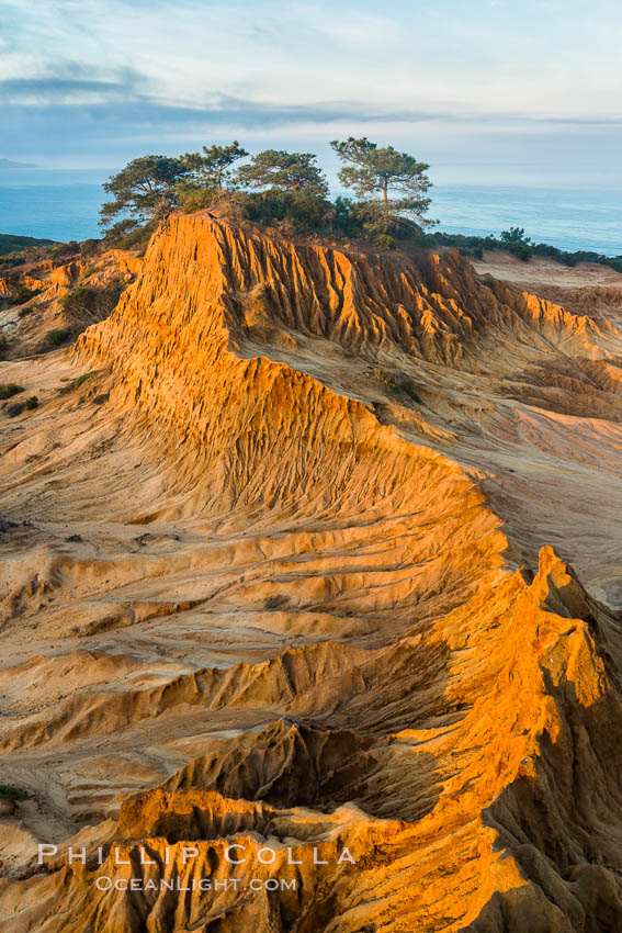 Broken Hill and view to La Jolla, from Torrey Pines State Reserve, sunrise. San Diego, California, USA, natural history stock photograph, photo id 28395