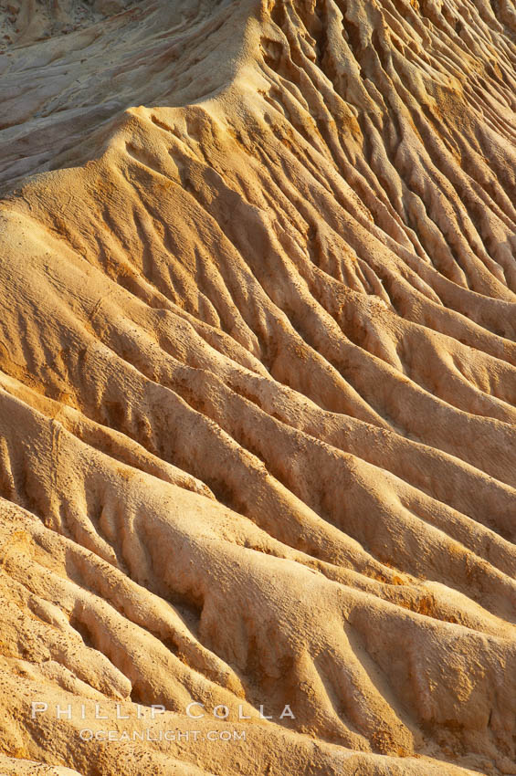 Broken Hill is an ancient, compacted sand dune that was uplifted to its present location and is now eroding. Torrey Pines State Reserve, San Diego, California, USA, natural history stock photograph, photo id 12022