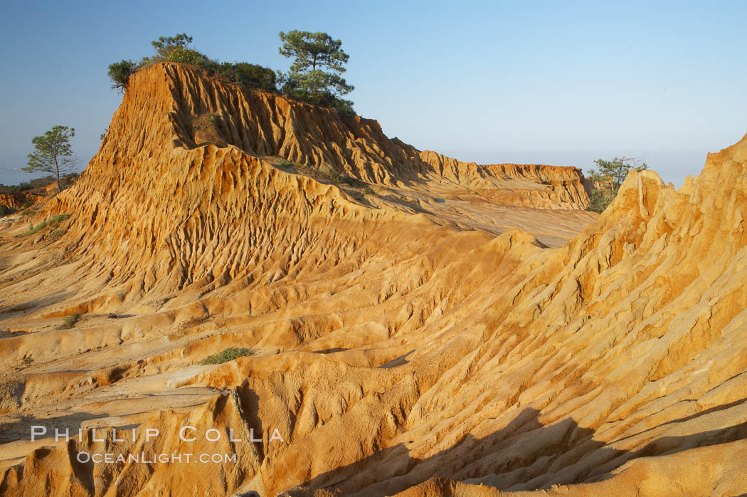 Broken Hill is an ancient, compacted sand dune that was uplifted to its present location and is now eroding. Torrey Pines State Reserve, San Diego, California, USA, natural history stock photograph, photo id 12032