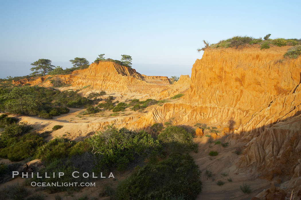 Broken Hill is an ancient, compacted sand dune that was uplifted to its present location and is now eroding. Torrey Pines State Reserve, San Diego, California, USA, natural history stock photograph, photo id 12031