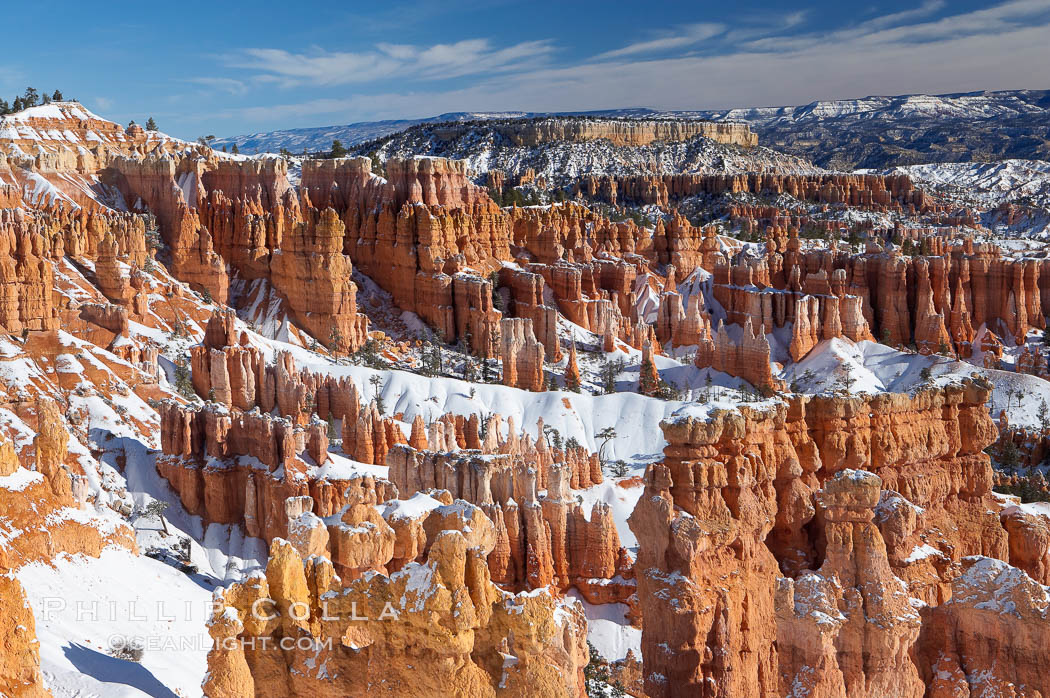 Bryce Canyon hoodoos line all sides of the Bryce Amphitheatre. Bryce Canyon National Park, Utah, USA, natural history stock photograph, photo id 18620