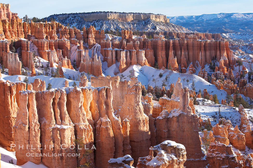 Bryce Canyon hoodoos line all sides of the Bryce Amphitheatre. Bryce Canyon National Park, Utah, USA, natural history stock photograph, photo id 18617