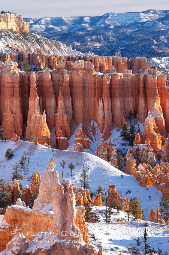 Bryce Canyon hoodoos line all sides of the Bryce Amphitheatre. Bryce Canyon National Park, Utah, USA, natural history stock photograph, photo id 18629