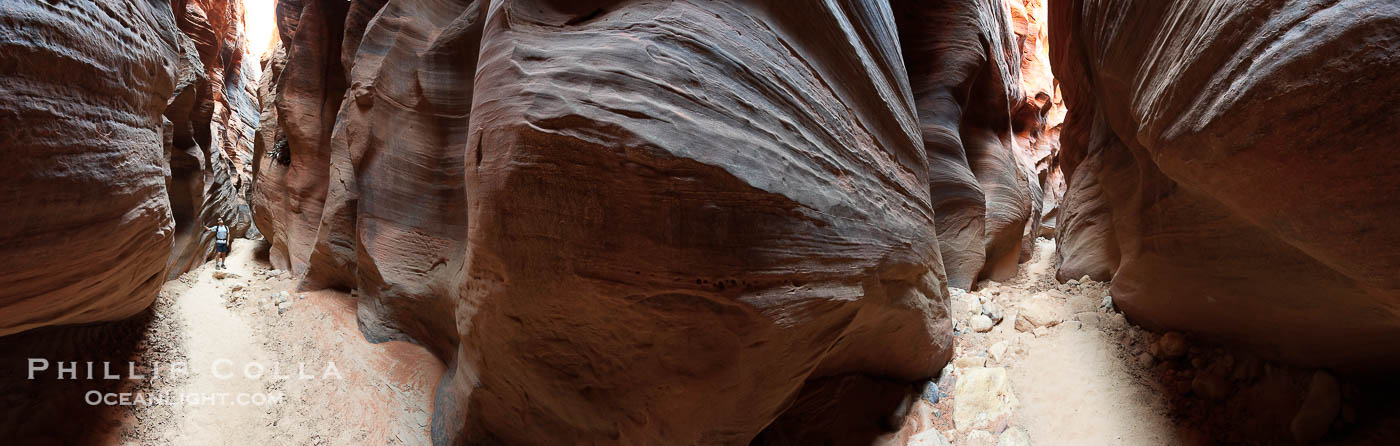 Buckskin Gulch hiker.  A hiker moves through the deep narrow passages of Buckskin Gulch, a slot canyon cut deep into sandstone by years of river-induced erosion.  In some places the Buckskin Gulch narrows are only about 15 feet wide but several hundred feet high, blocking sunlight.  Flash floods are dangerous as there is no escape once into the Buckskin Gulch slot canyons.  This is a panorama made of twelve individual photos., natural history stock photograph, photo id 20704
